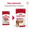 ROYAL CANIN SHN Medium Adult en salsa - Comida húmeda para perros adultos - 10x140g