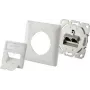 Dispositivo de red Renkforce RF-4695152 blanco