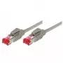 Cable de red Ethernet Tecline 71707 gris