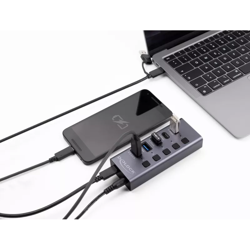 Hub USB Delock 64248 5 Gbit/s 2 x Type-A 2 x Type-C 1 puerto de carga rápida