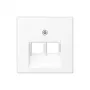 Placa de pared / tapa de interruptor Jung A569-2BFPLUAWWM blanco mate, 1 ud.