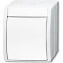 Conmutador de cruce BUSCH-JAEGER 2601/7W-54 ocean Alpinweiß IP44 Interruptor de balancín 2601/7W-54 (2601/7W-54)