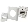 Renkforce toma de red empotrable CAT 6 2 puertos blanco perla (RF-4393024)