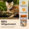 INABA Churu Varieties Chicken - premio para gatos - 50 x 14g