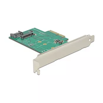Tarjeta de interfaz DeLOCK 89381 interna M.2 SATA