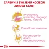 ROYAL CANIN Maine Coon Kitten - Pienso para gatos - 4 kg