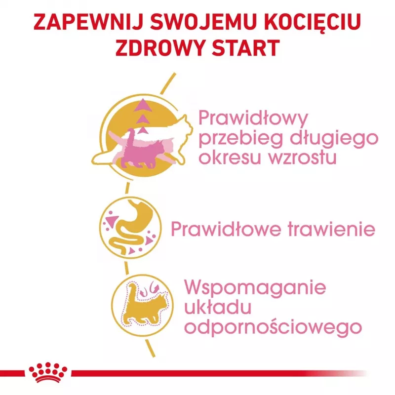ROYAL CANIN Maine Coon Kitten - Pienso para gatos - 4 kg