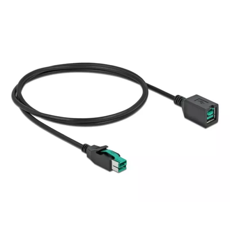 Cable de extensión USB con alimentación DeLOCK 85980 12 V 1 m