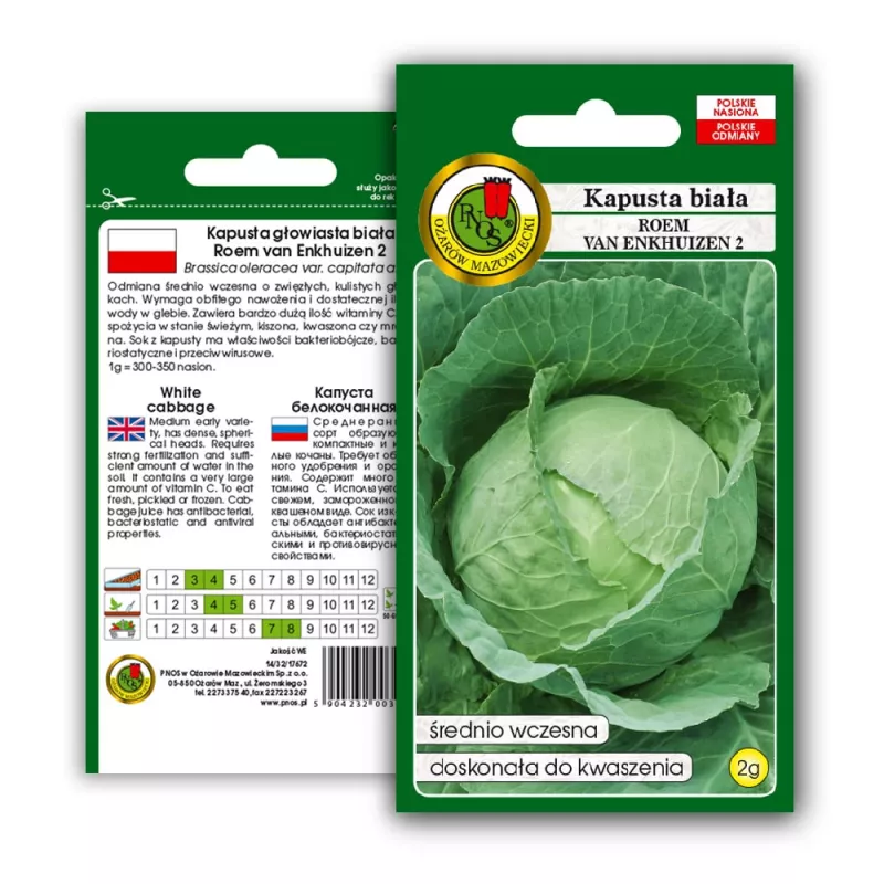 PNOS col blanca Roem Van Enkhuizen 2 semillas de hortalizas, 2 g