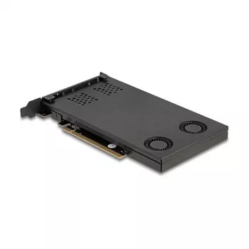 Delock Soporte para tarjetas PCI Express x16 para 2 x M.2 NVMe SSD Bifurcación 47042