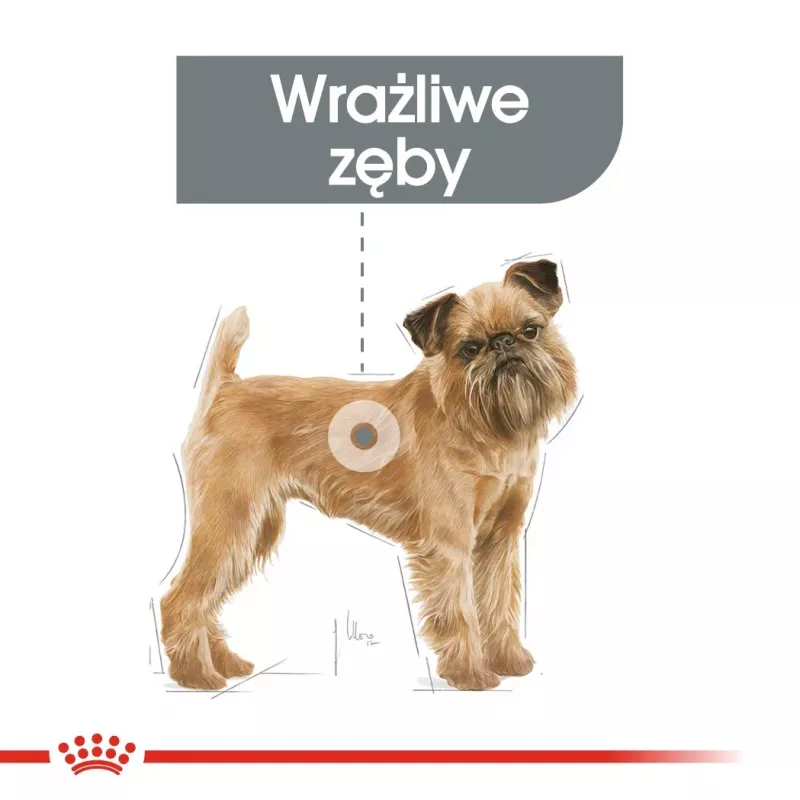 Comida seca para perros Royal Canin Mini Dental Care 3 kg — razas pequeñas adultas, aves, cuidado dental