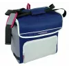 Nevera portátil Campingaz Fold`N Cool 30 L azul gris