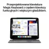 Apple iPad 11
