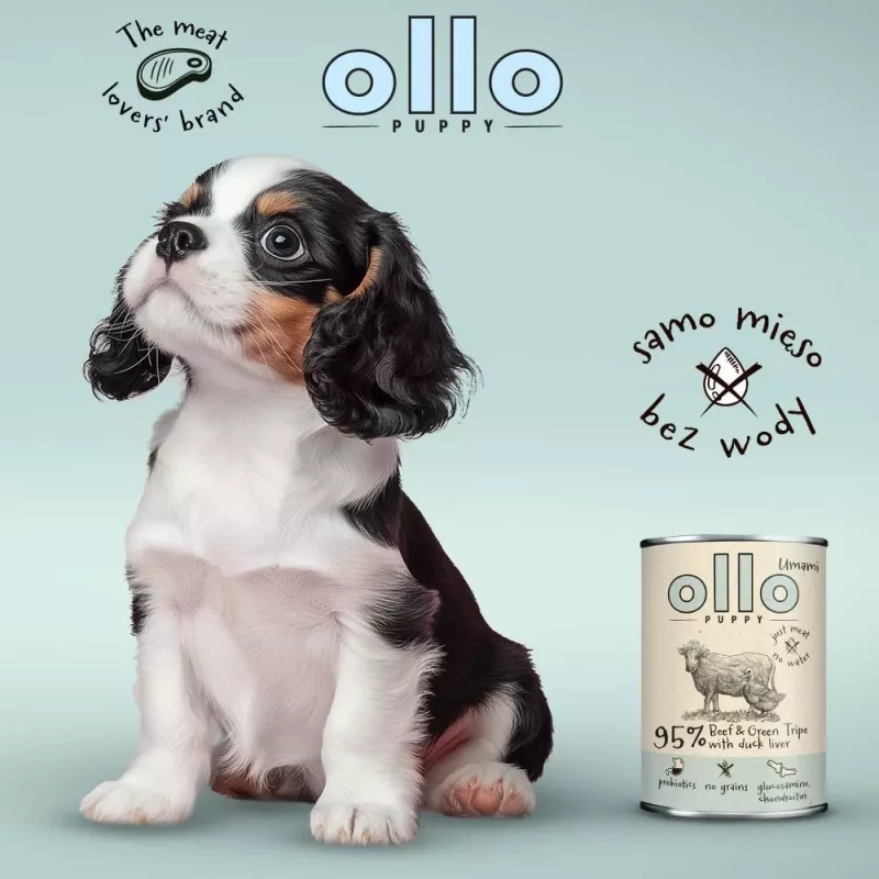 OLLO Puppy Umami Beef and Green Tripe with Duck Liver – Comida húmeda para perros – 850g