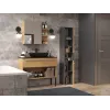 Topeshop NEL I ANT/ART armario de baño grafito, roble