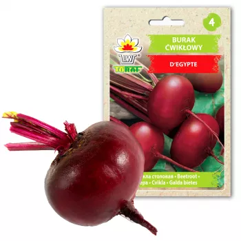 Semillas de hortalizas remolacha egipcia D'Egypte Toraf, paquete de 10g