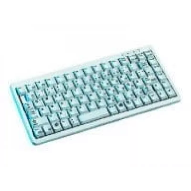Teclado CHERRY Compact G84-4100, gris claro, CH USB + PS/2