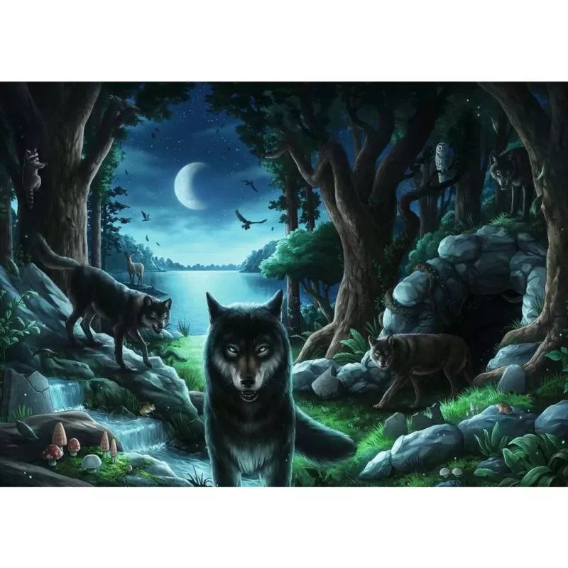 Puzzle de contornos Ravensburger 15028