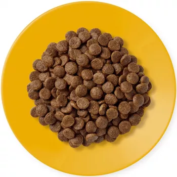 APPLAWS Adult Chicken - Comida seca para gatos - 400 g