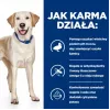 HILL'S PD D/D Food Sensitivities, pato y arroz - pienso para perros - 4 kg