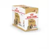 ROYAL CANIN Shih Tzu Adult Alimento húmedo para perros Paté 12x85 g