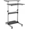 ROLINE Puesto de trabajo de pie para PC - Soporte para pantalla LCD / teclado / ratón / CPU / impresora - Plástico, Metal - Gris, Negro (17.02.1547)