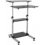 ROLINE Puesto de trabajo de pie para PC - Soporte para pantalla LCD / teclado / ratón / CPU / impresora - Plástico, Metal - Gris, Negro (17.02.1547)