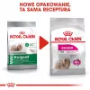 Royal Canin Mini Exigent alimento seco para perros exigentes, 1 kg