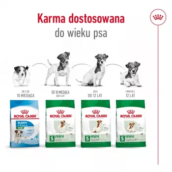 ROYAL CANIN Mini Ageing Adult +12 - Pienso para perros - 3,5 kg