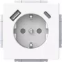 BJ 20 EUCB2USBAC-84 Toma SCHUKO-/USB-A+C (2CKA002011A6306)