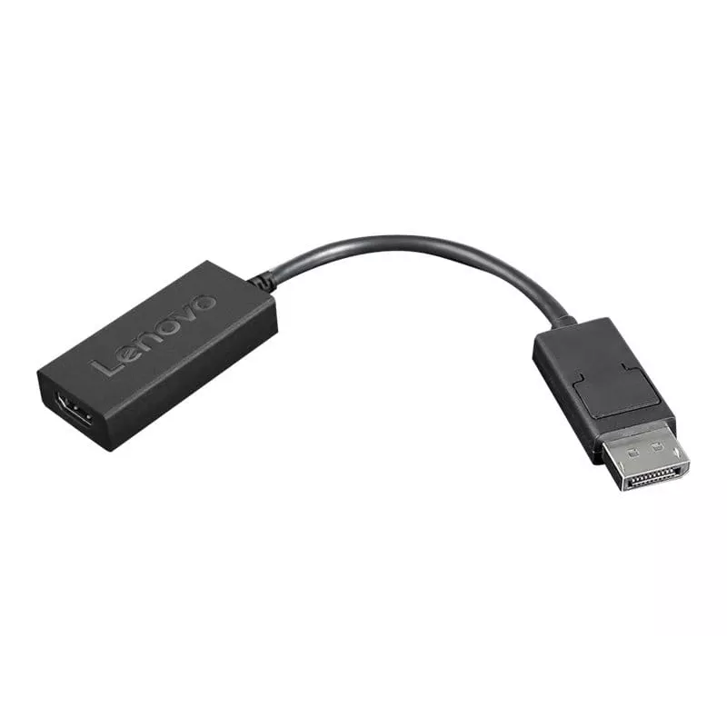 Lenovo 4X90R61023 adaptador de DisplayPort a HDMI 2.0b, DP macho – HDMI hembra, 22,5 cm, 4K, negro