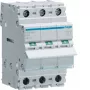 Interruptor automático Hager SBN363 3 módulos