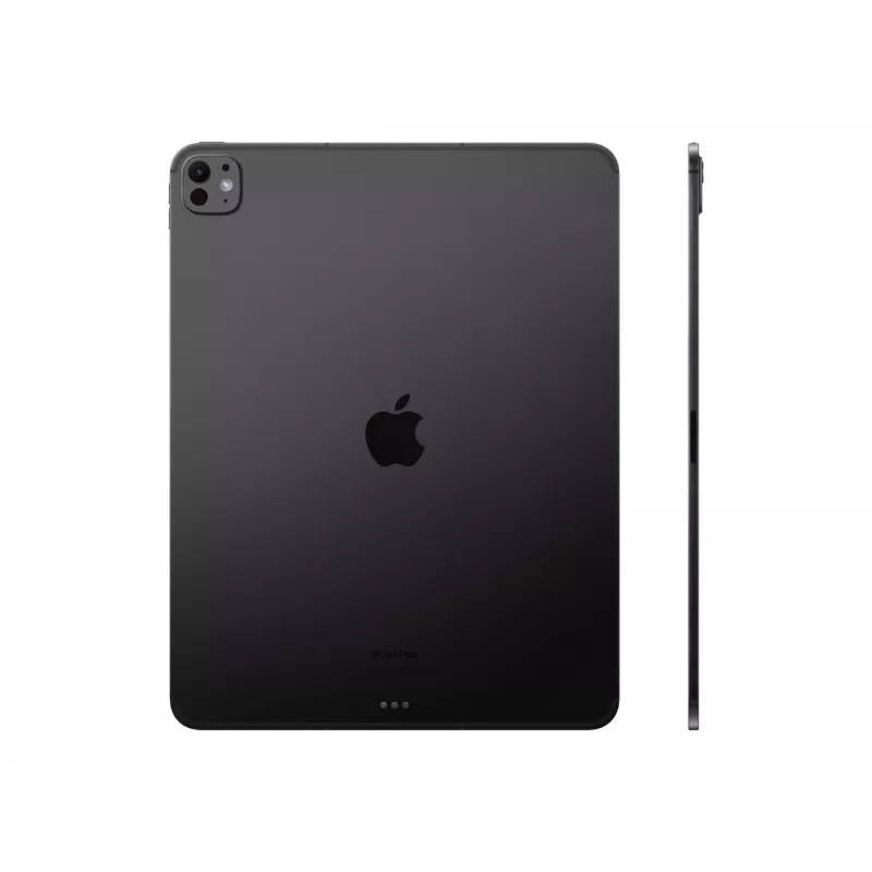 APPLE 33cm 13