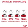 Comida húmeda para gatos Royal Canin Urinary Care adultos aves 85 g bolsa (pack de 12)