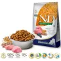 FARMINA N&D Ancestral Grain Puppy Medium&Maxi Lamb - Pienso para perros - 12 kg