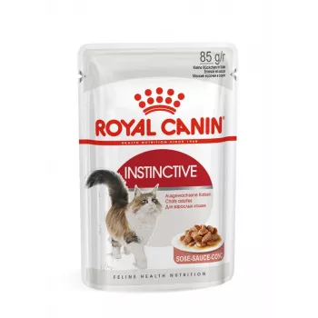 Royal Canin FHN Instinctive comida húmeda en paté para gatos adultos, 12 x 85 g