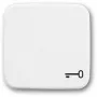 BUSCH-JAEGER tecla símbolo llave 2520TR-214 Reflex SI blanco alpino 2520TR-214 (1731-0-0959)