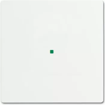 Busch-Jaeger 2CKA006220A0481 Placa embellecedora para soporte y caja de sensor blanco (2CKA006220A0481)