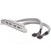 Cable con placa de ranura USB 2.0 HighSpeed Type 2xIDC (5pin)/4xUSB A M/H gris 0,25 m