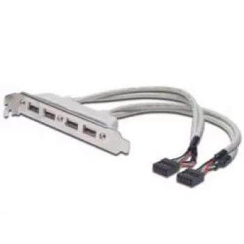 Cable con placa de ranura USB 2.0 HighSpeed Type 2xIDC (5pin)/4xUSB A M/H gris 0,25 m