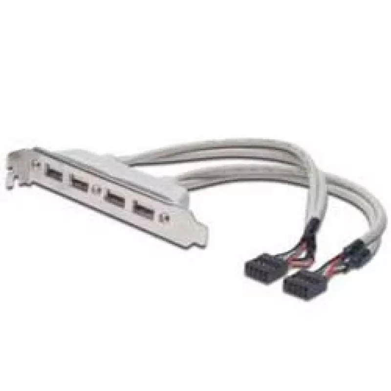 Cable con placa de ranura USB 2.0 HighSpeed Type 2xIDC (5pin)/4xUSB A M/H gris 0,25 m