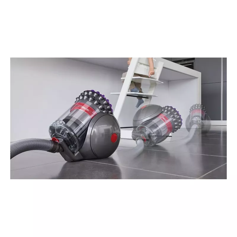 Aspirador de cilindro Dyson Big Ball Absolute 2 - 447250-01