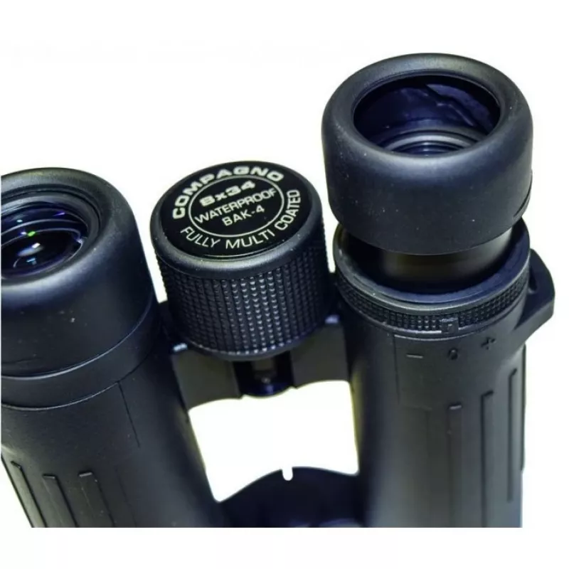 Prismáticos Braun Photo Technik Compagno 10x34 WP BaK-4 Negro