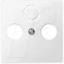 Placa de pared / tapa de interruptor Merten 297519 — blanca, termoplástico, 1 elemento