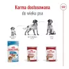 ROYAL CANIN SHN Medium Ageing lata 410 g