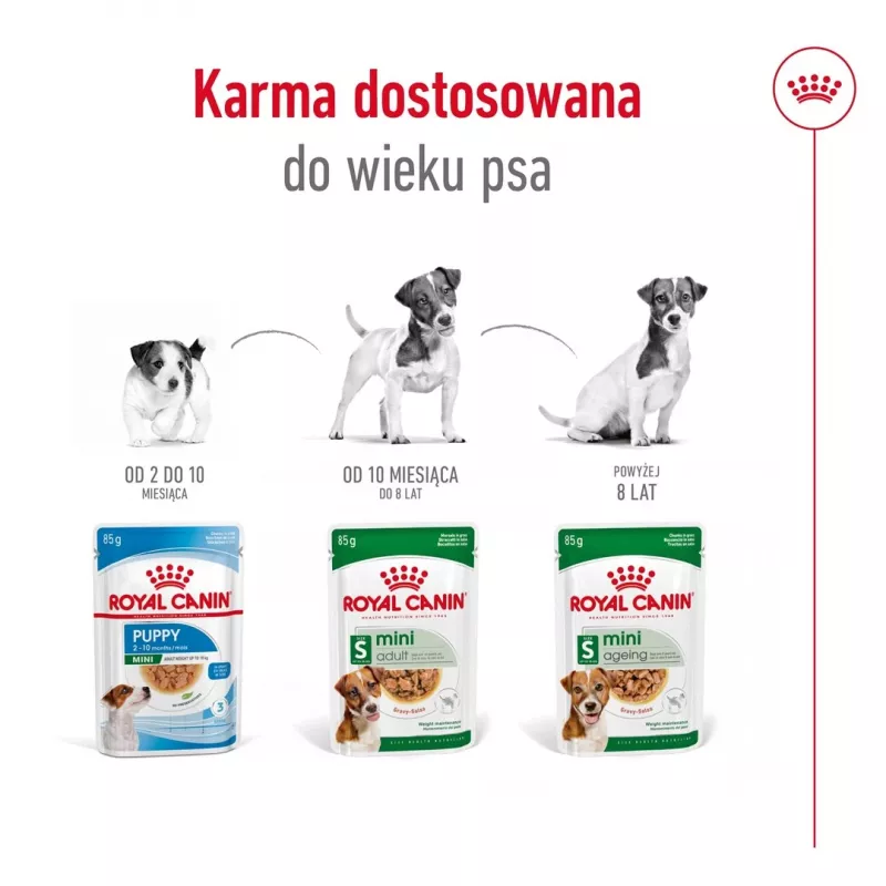 Comida húmeda Royal Canin Mini Ageing 12+ Adult 85 g bolsa — razas pequeñas, aves, senior