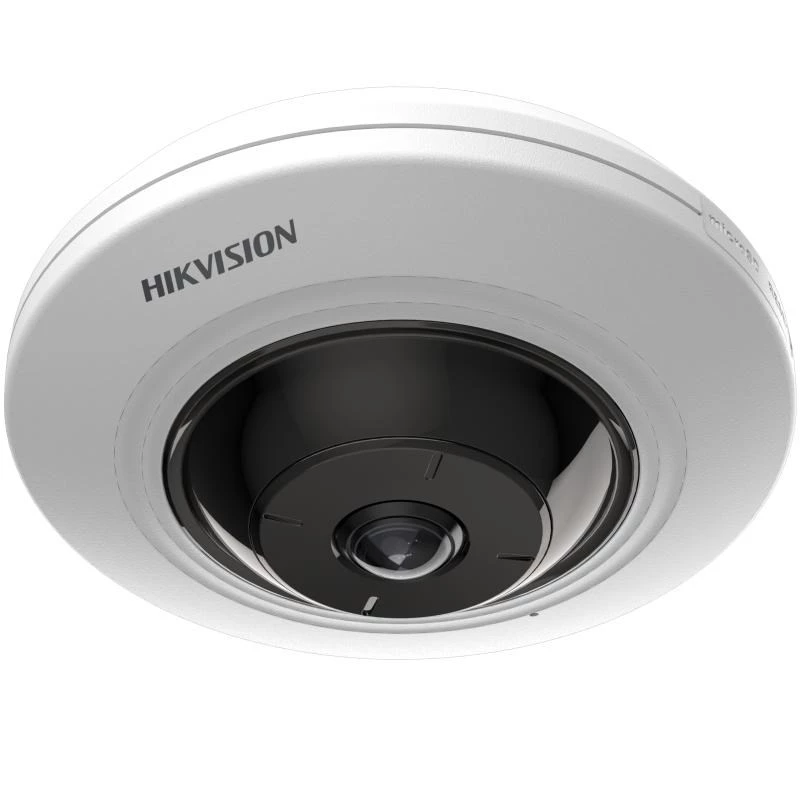 Cámara de vigilancia IP Hikvision DS-2CD2955G0-ISU(1.05MM) domo