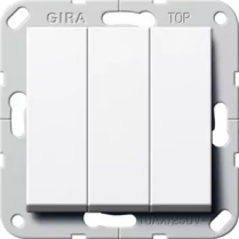 GIRA 283203 Interruptor eléctrico 2P Blanco (283203)