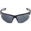 Gafas de sol deportivas Alpina Nylos HR Negro