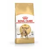Royal Canin FBN Bengal Adult comida seca para gatos, 10 kg